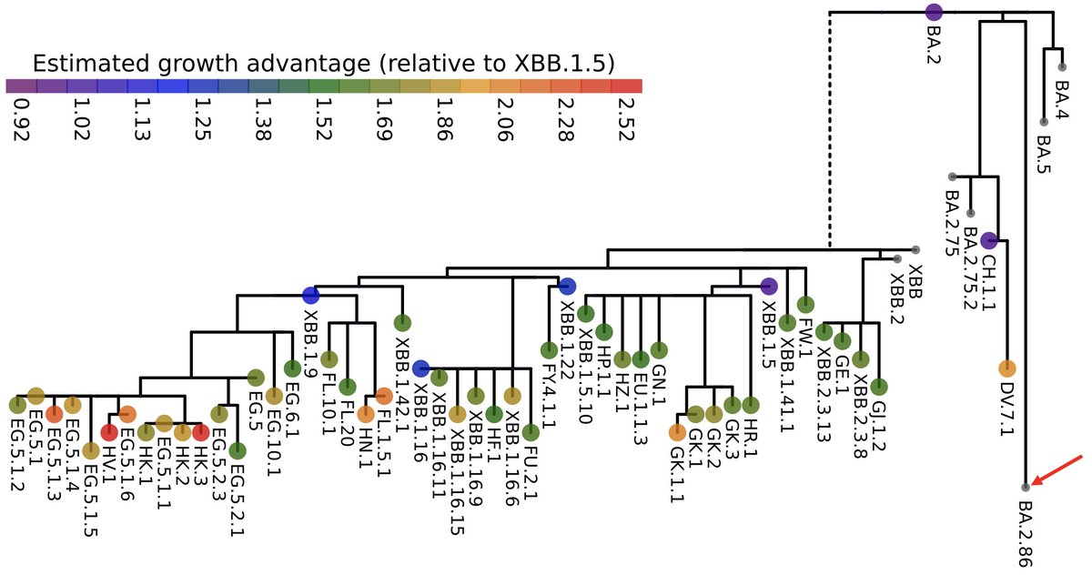 Ben Murrell (@benjmurrell) on Twitter photo Real-time data update: we've got our first BA.2.86 (see red arrow) neutralization results. Short 🧵with much credit to <a href="/DannySheward/">Daniel Sheward</a> and the rest of the team. Real-time data update: we've got our first BA.2.86 (see red arrow) neutralization results. Short 🧵with much credit to <a href="/DannySheward/">Daniel Sheward</a> and the rest of the team.
