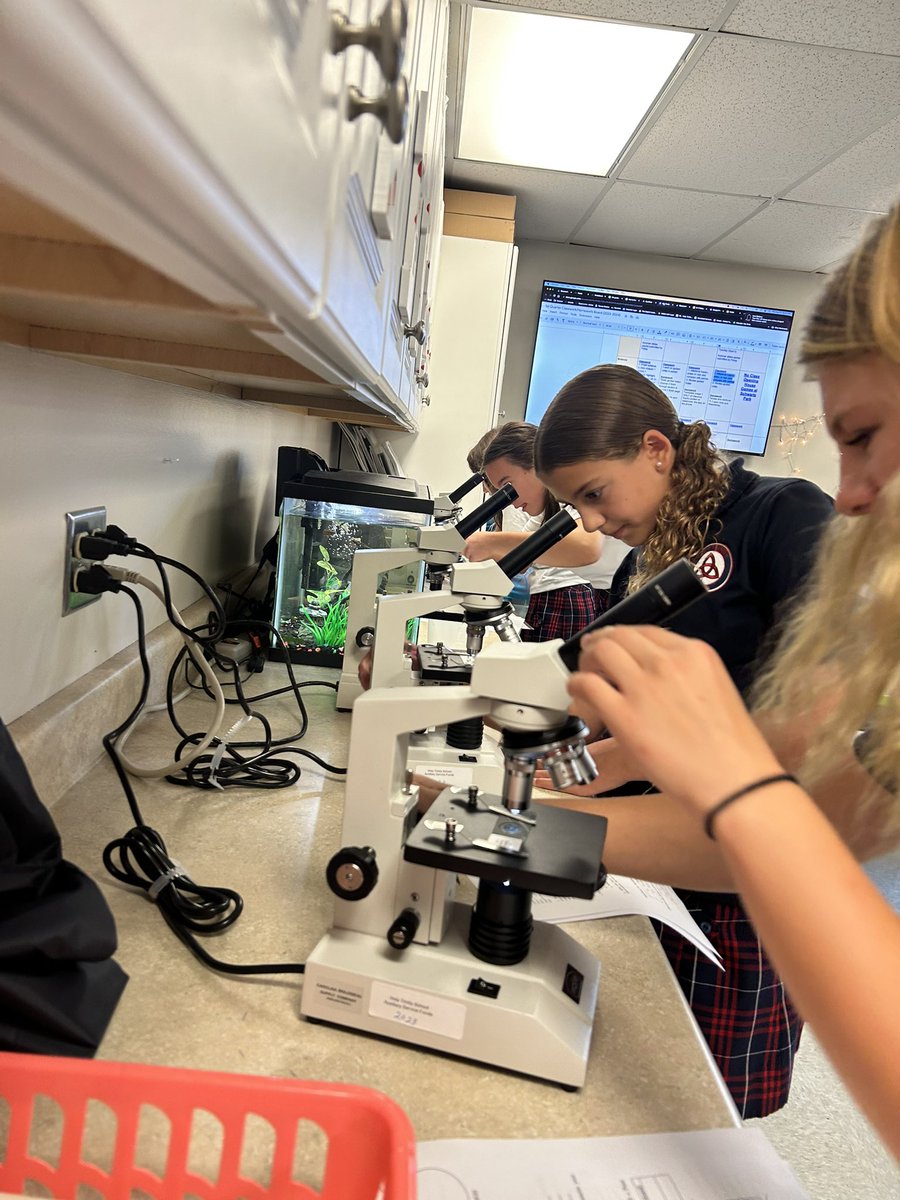 MrsTriplett_HTS's tweet photo. Microscope Mania is underway in 7th grade! https://t.co/OIma8basgd