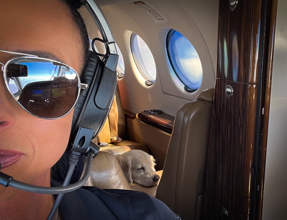 SunKissedPilot's tweet photo. My favorite kind of passengers… PUPPIES!!! 🐶😍
.
.
.
.
.
#puppies #passengers #privateflight https://t.co/So1XMGHNQD