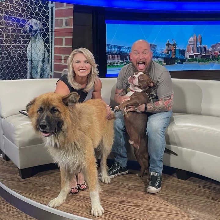 Cincinnati Animal CARE (@cincyanimalcare) on Twitter photo Thanks <a href="/ShereeWLWT/">Sheree Paolello WLWT</a> and @wlwt for hosting us today! Malfoy and Weasley are both available to adopt! Thanks <a href="/ShereeWLWT/">Sheree Paolello WLWT</a> and @wlwt for hosting us today! Malfoy and Weasley are both available to adopt!