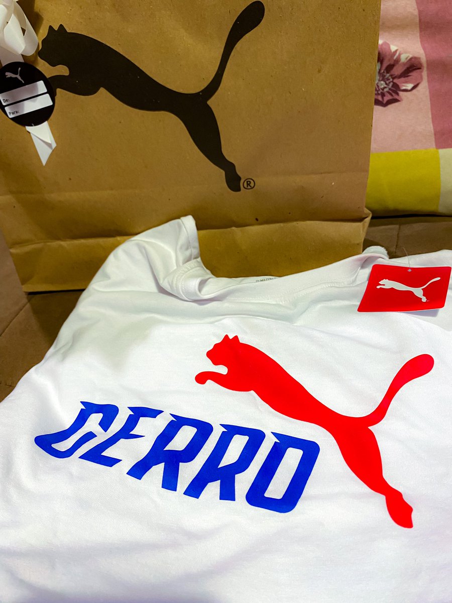 aracmendez's tweet photo. SORTEO remera FAN TEE CCP de Puma 🔵❤️ entre mis amados seguidores! 
- dale RT
- decime por qué mereces que te la de! 

Sorteo el lunes a la noche, tienen el finde pa inspirarse. Lqm y aguante este fenómeno social https://t.co/0ZXfMaS36s