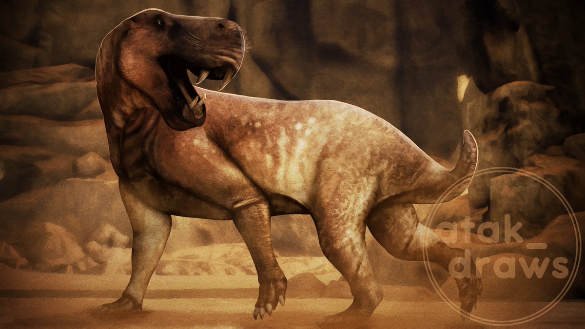 Inostrancevia alexandri

Inostrancevia was a late Permian sabertoothed therapsid. This animal lived in Europe (I. alexandri, I. latifrons and I. uralensis) and Africa (I. africana) 

It was the largest of the gorgonopsians and could reach up to 3m in length

#paleoart #art #paleo
