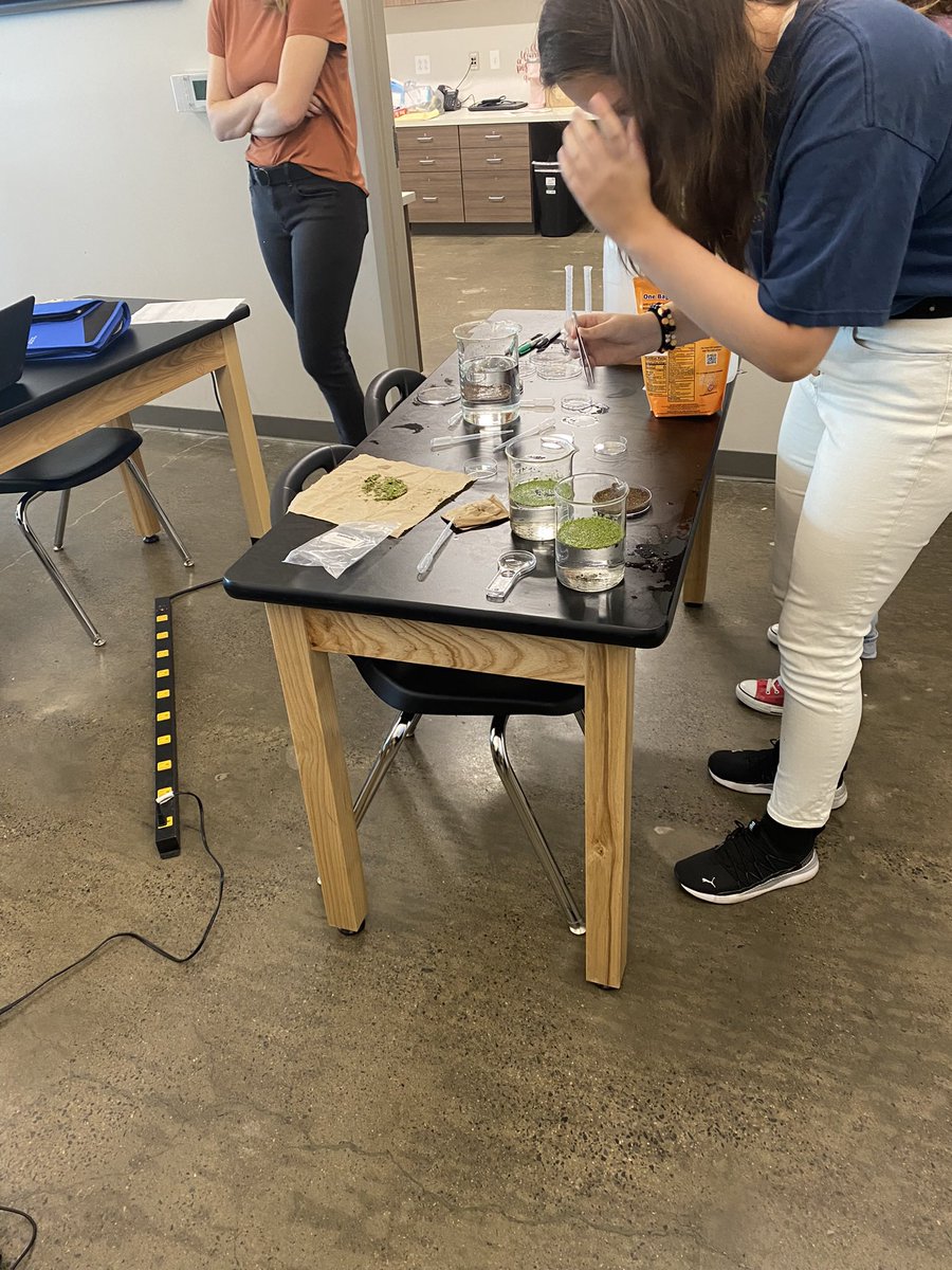 Dunham_DBEXCEL's tweet photo. This week students set up experiments to answer their own questions they have about duckweed growth. https://t.co/5PTTokAoFW