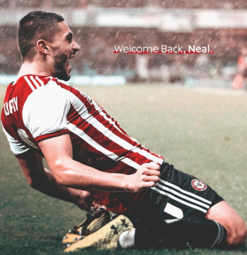 transfer_review's tweet photo. #Brentford have re-signed #NealMaupay on a season-long loan from #Everton, which includes an option to make the transfer permanent

#BrentfordFC #BFC #WestLondon #London #PL #EPL #Transfers #Football #DeadlineDay https://t.co/YwcIz4bSqI