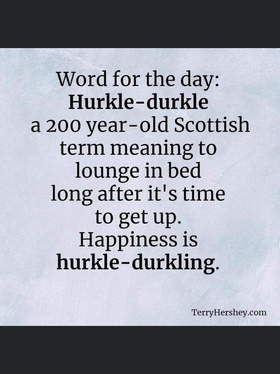 constant_rose's tweet photo. #Scotland https://t.co/DeBDXdSHa7