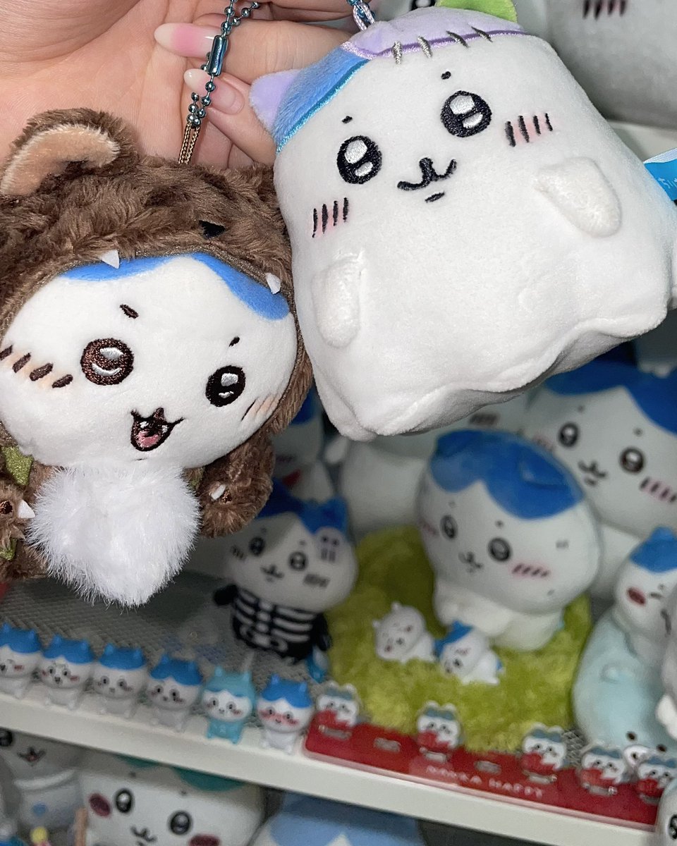 cheese_6091's tweet photo. 할로윈 베스트는 요고🐺👻✨ https://t.co/Ax6R9iIbCV