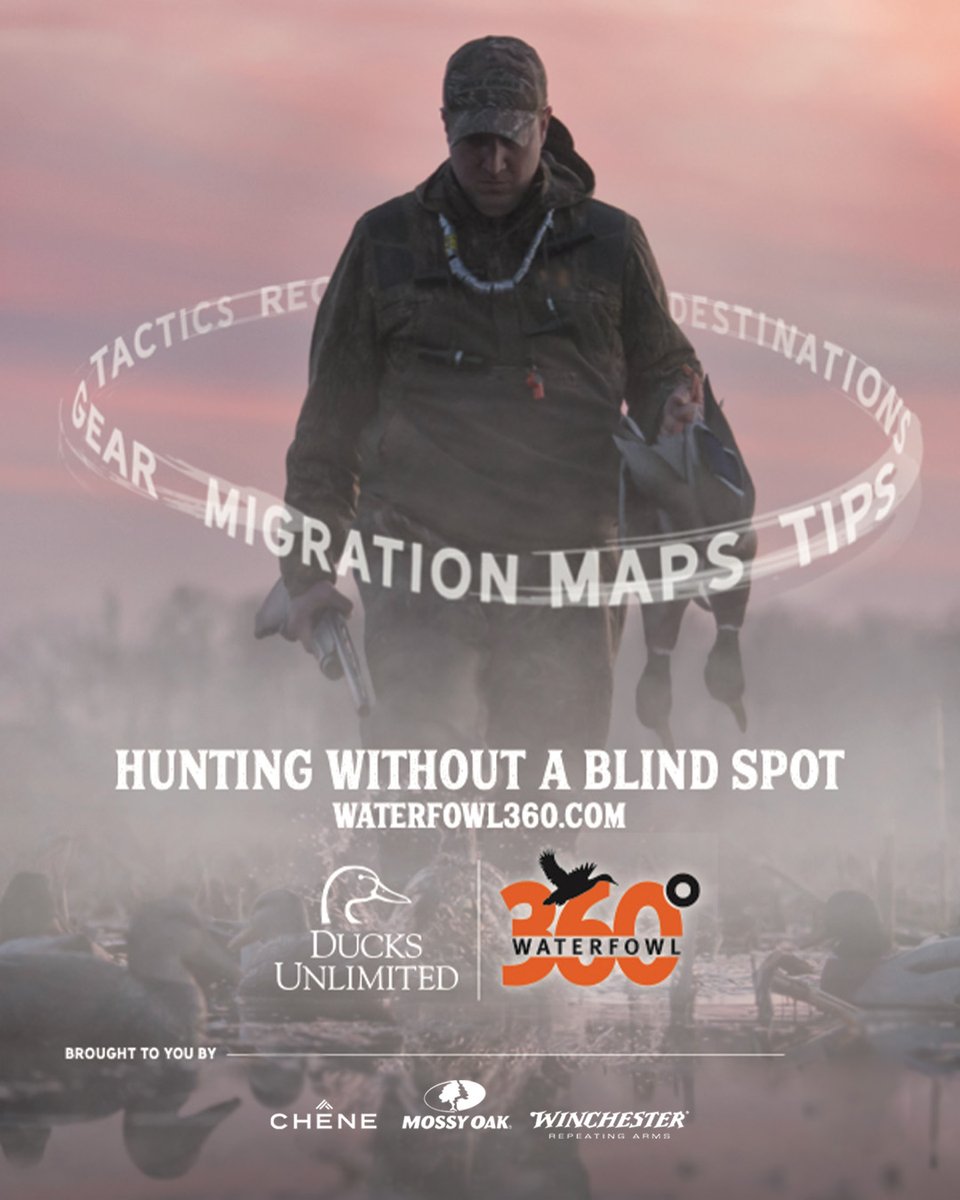 DucksUnlimited's tweet photo. Your season begins with Waterfowl 360.
✔️Calling tips
✔️Migration alerts
✔️Recipes
✔️Pretty much everything you'll need to know for hunting ducks and geese
➡️ https://t.co/ewamoO1Y1R
#WF360 | Brought to you by @MossyOak, #CheneGear, and @WinRepArms https://t.co/IGcGZdkj9q