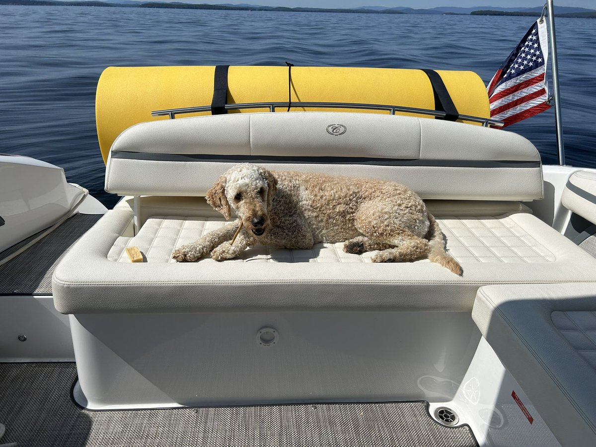 Waited all summer for this weather! #lakedoodle @CobaltBoats #lakewinniNH #mychillspot #pearl @myWinnipesaukee #snacks