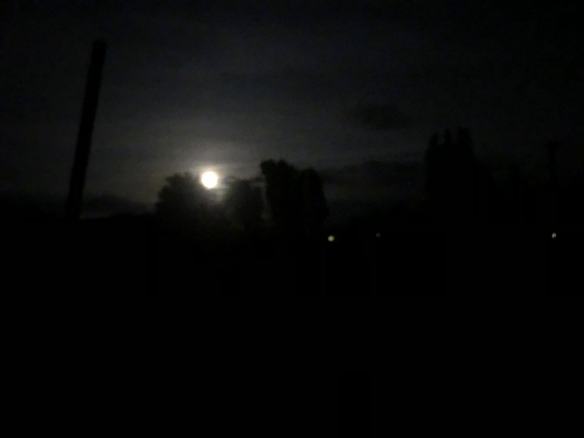 CranborneGrove's tweet photo. How lucky to be where we live. Whilst bimbling around the moon lit allotments, heard deer other side of hedge, saw🦇, heard several 🦉 all in 5 minutes. #Cranborne #Rural #Dorset another heads up, next month legendary @raymond_blanc has a new series on Royal Kitchen Gardens! https://t.co/AAH55tnQ0U