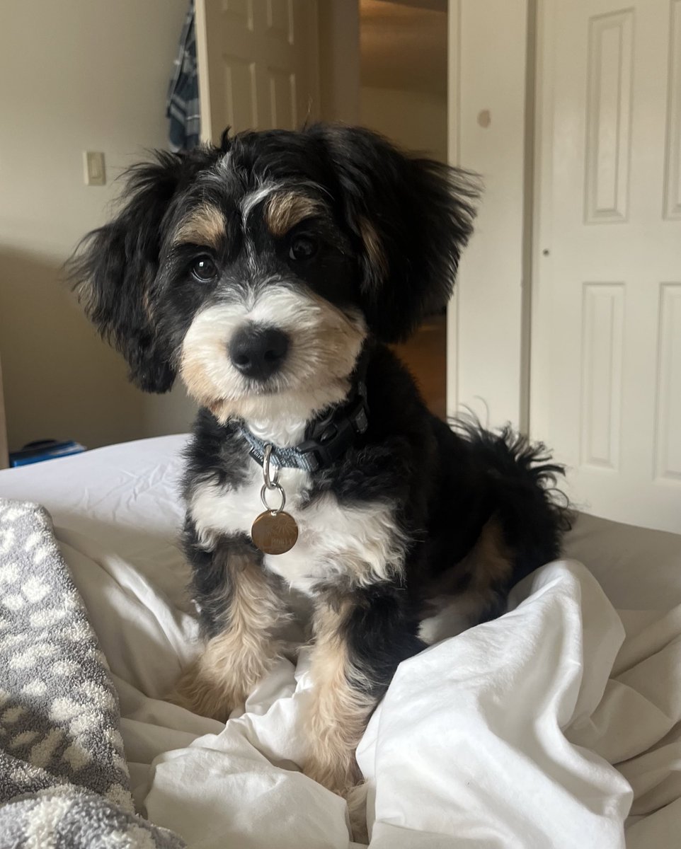 MsLeonardoClass's tweet image. 🐾