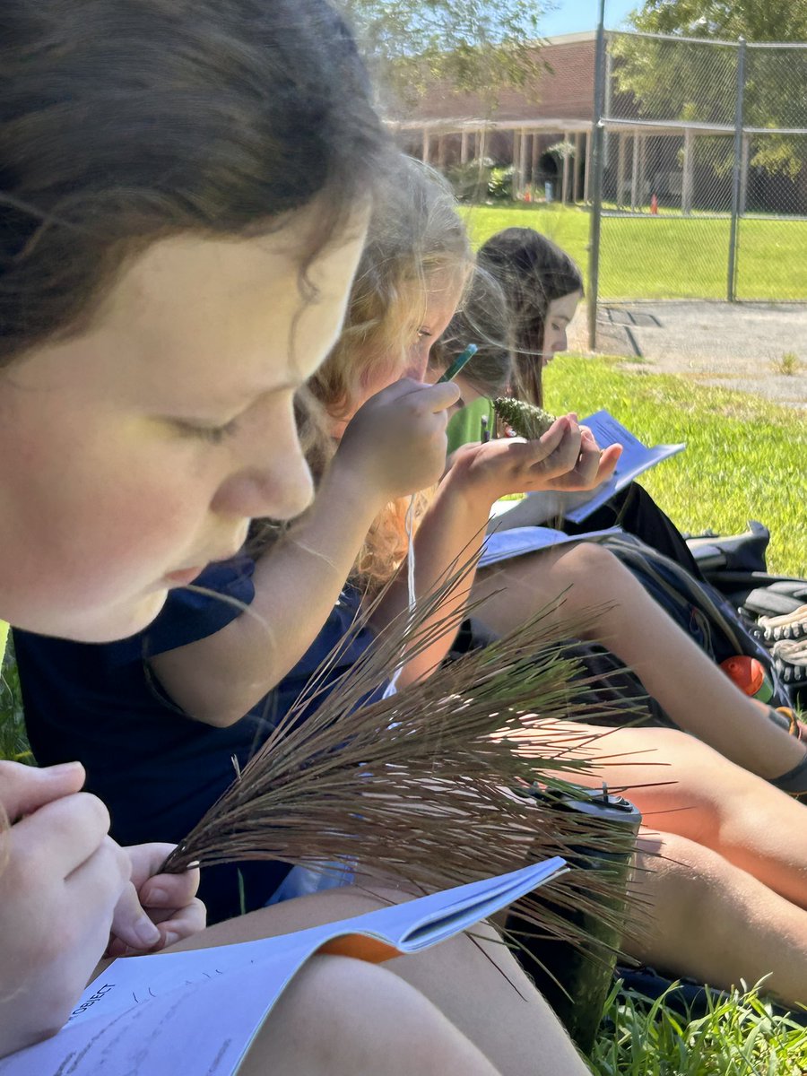 Gina Ritchie tweet media