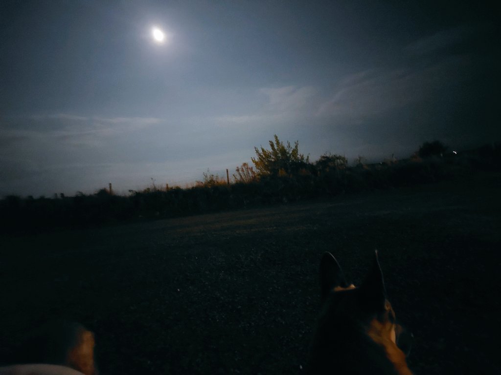 Killybegs full moon with the 🐕🐕