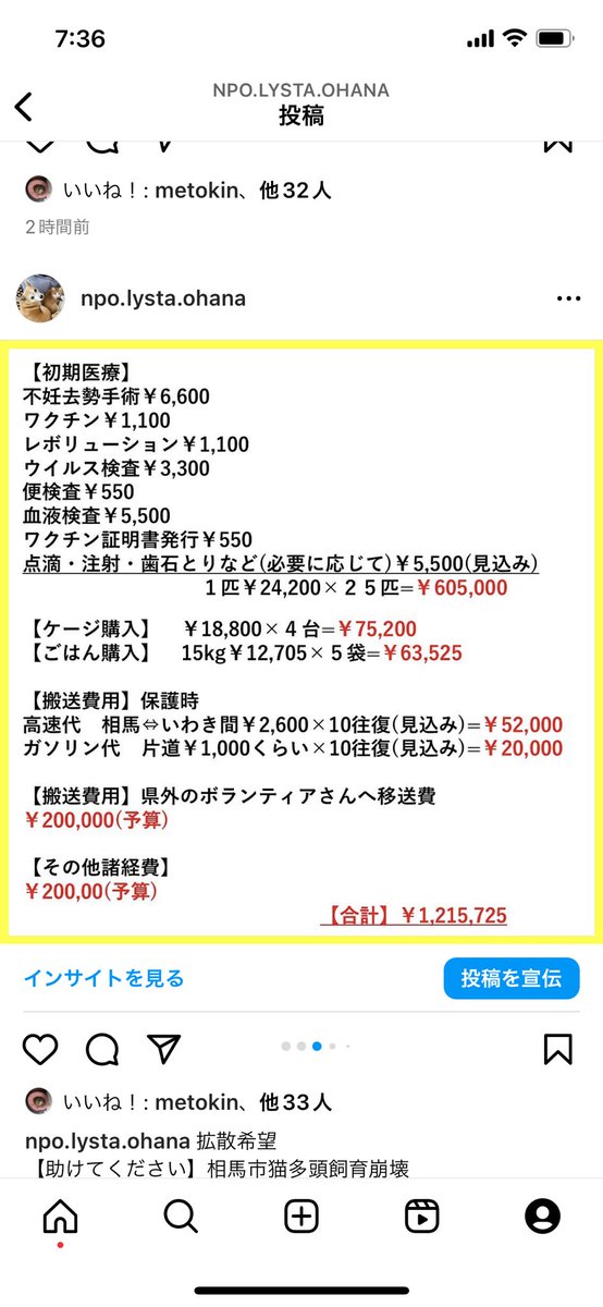 NPO法人動物愛護団体LYSTA/里親募集型保護猫ふれあいサロンOhana tweet media