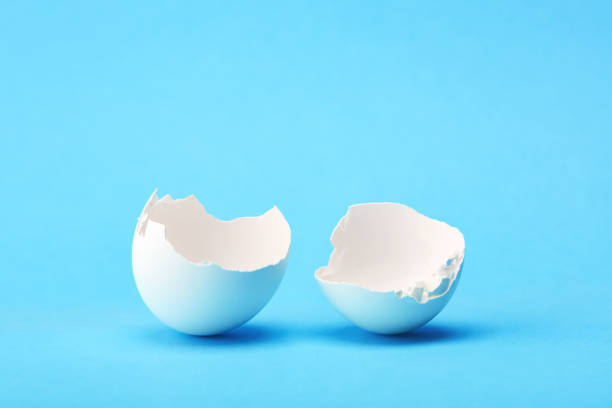 DycusDental's tweet image. Dental care has a rich history dating back thousands of years. Ancient civilizations used materials like crushed eggshells and pumice to clean and whiten teeth. 🥚🦷 #DentalHistory #AncientPractices