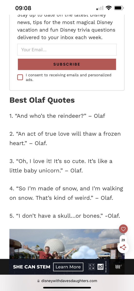 Kestrel Thoroughbreds tweet media