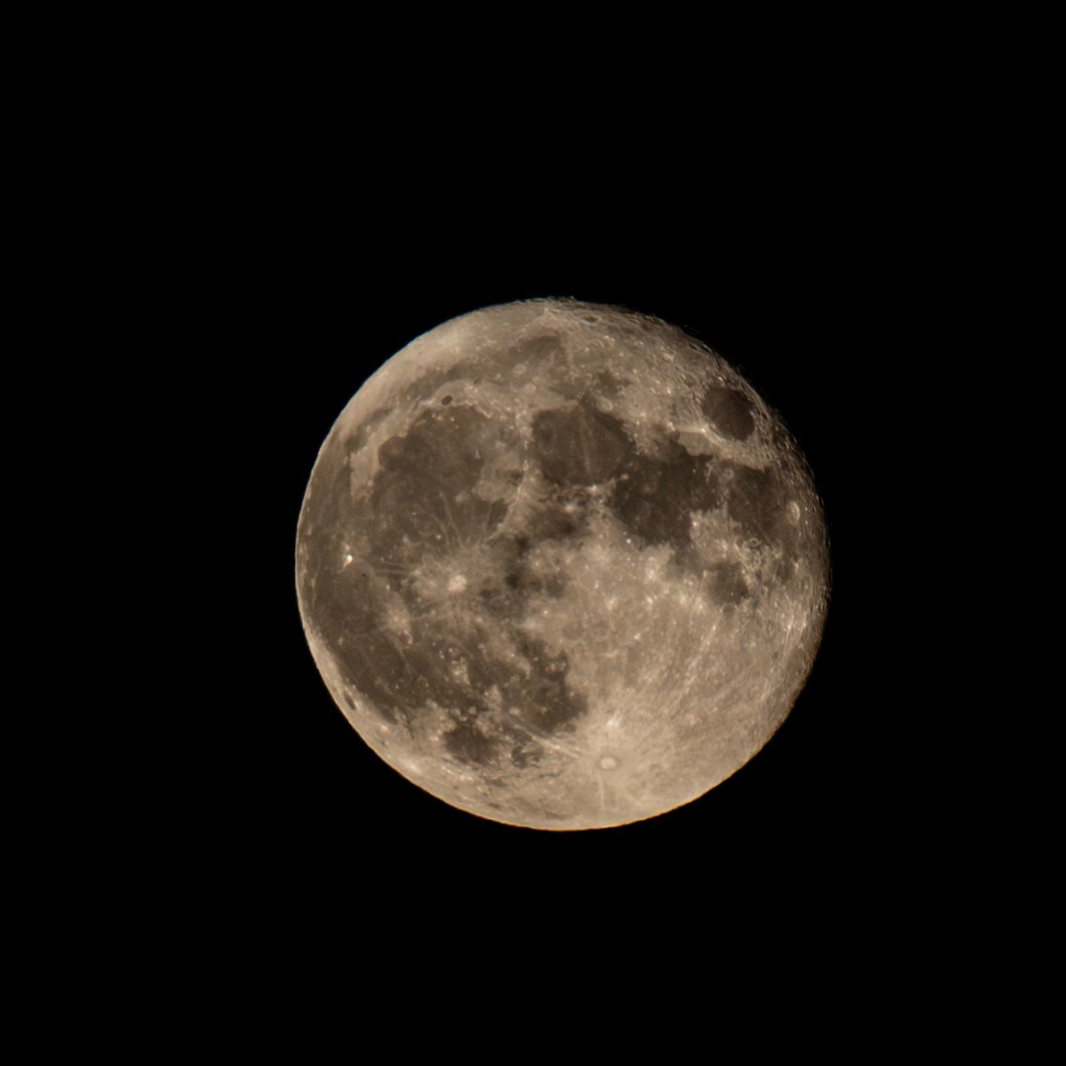 dholahan's tweet photo. Last night's Blue Moon (because it's the second full moon in a calander month) of the Bath Nature Preserve. https://t.co/84hzxqY47J