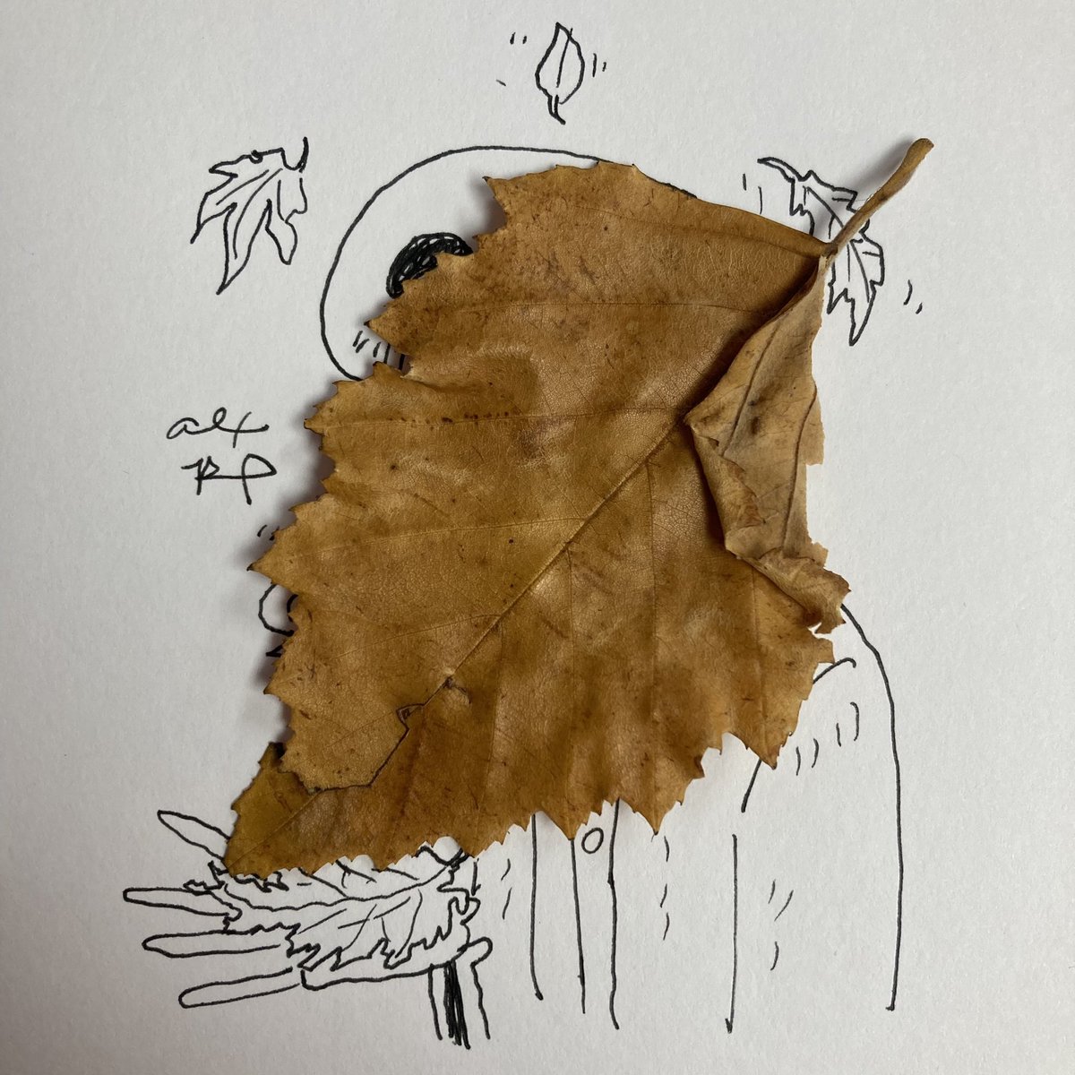 rousselart's tweet photo. Hello September!
.
.
Meteorological Fall starts today! Like pre-autumn for Astronomical (real) Autumn on September 23rd. 🧡💀🍂
.
.
#art #autumn #neverstopcreating #neverstopgrowing #teacherlife #deadinside #fallingleaves #selfie #rousselart #helloseptember https://t.co/XiTr4vjffr