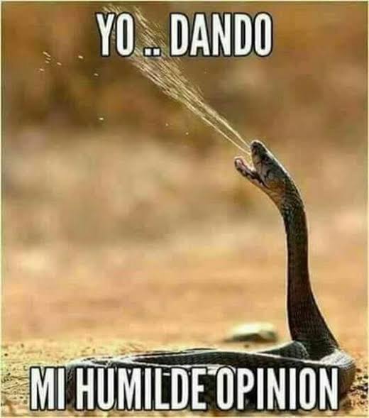 Hoy aprendí en el trabajo que siempre puedes dar tu humilde opinión ☝🏻😌 🤣🤣🤣

BTW. Es un meme qué no conocía y me dio mucha risa cuando me lo enseñaron en el trabajo 👀