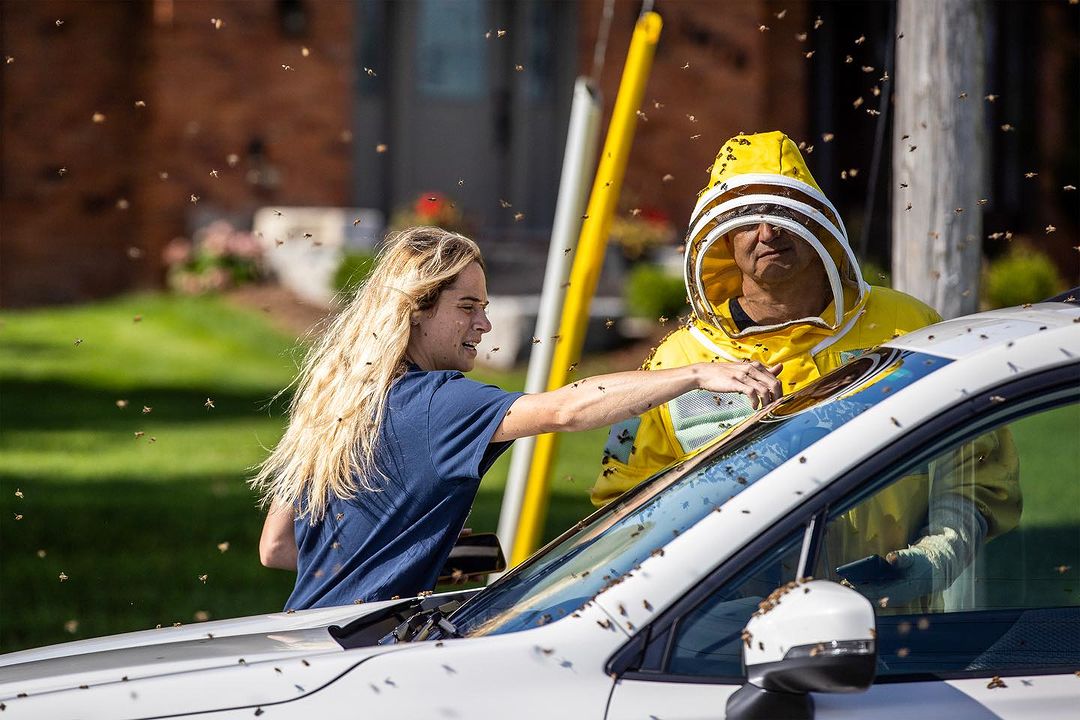 RoomUpFront's tweet image. Photos by #RUFmentor @carlososorio  for @canadianpress.
“Millions of bees buzzed on a Burlington Road after a truck transporting them swerved, and hives tumbled onto the road. Local beekeepers from the area arrived to help get most of the bees back into their hives. “