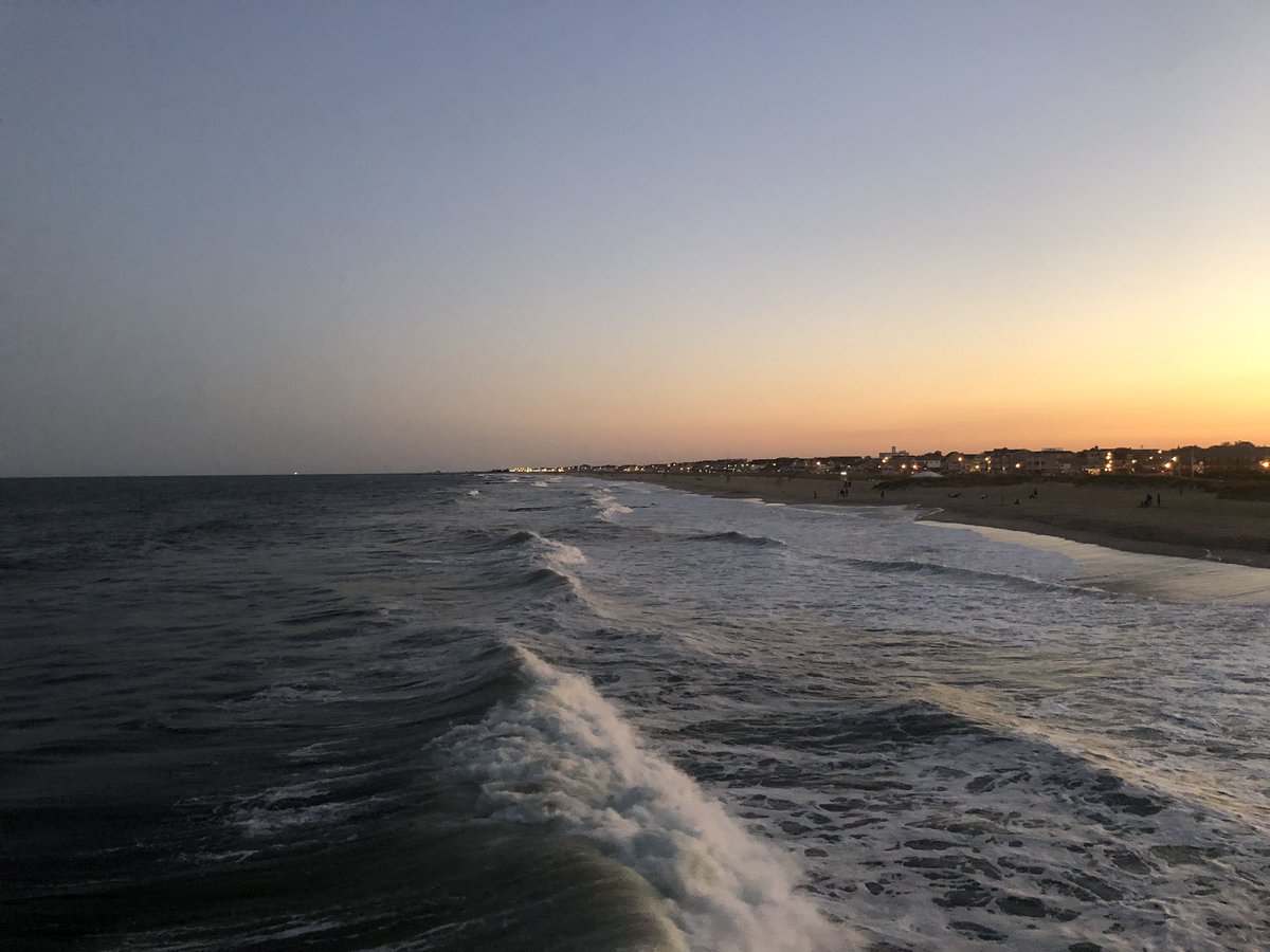 ZenAi Contact Support (@zenai_support) on Twitter photo 