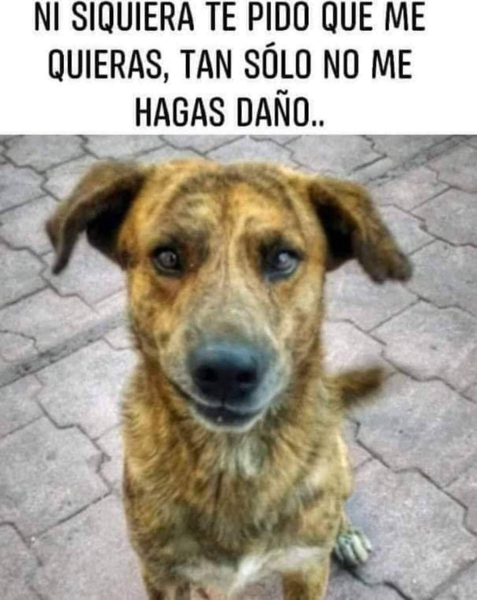 Si no te gustan, no les hagas daño, así de sencillo......