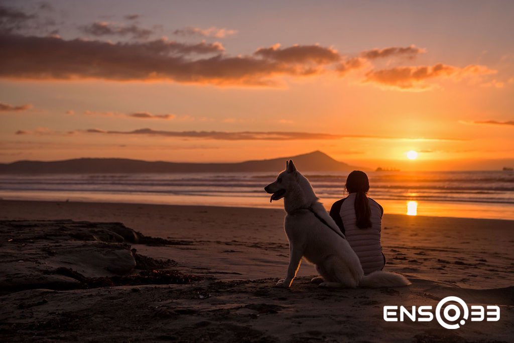 #Ensenada necesita una masa crítica de #líderes con una visión compartida y lúcida, acorde a las necesidades de nuestro tiempo. 
Líderes que contribuyan a desarrollar no sólo #infraestructura física del #municipio sino también la infraestructura mental.

 #ens33 #covelli