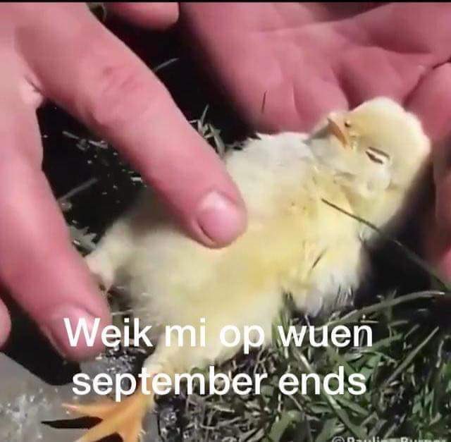 David Sánchez ⨺ (@davidsanchezmx) on Twitter photo 