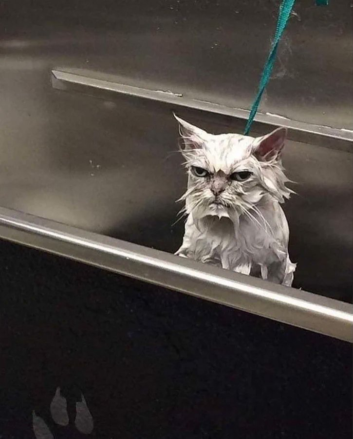 ItsSqueakk's tweet image. Me staring the mirror at 4am after taking off my headset for the first time