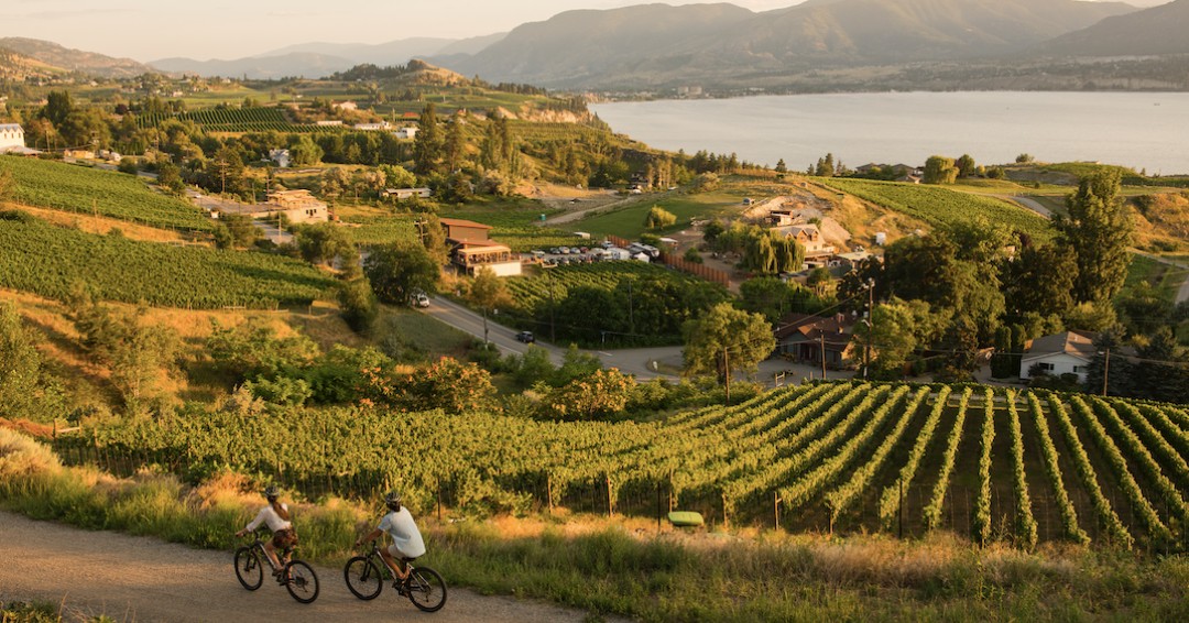 🚲 The Rail Trial is calling all e-bikers and pedal bikers… 
Head to the BC Rail Trails website to find the KVR near you 🚲

📷 Peter Kalasz 
📷 Destination BC/Kari Medig

#KettleValleyRailway #HeritageRailway #KVR #ThompsonOkanagan #Bike #ebike