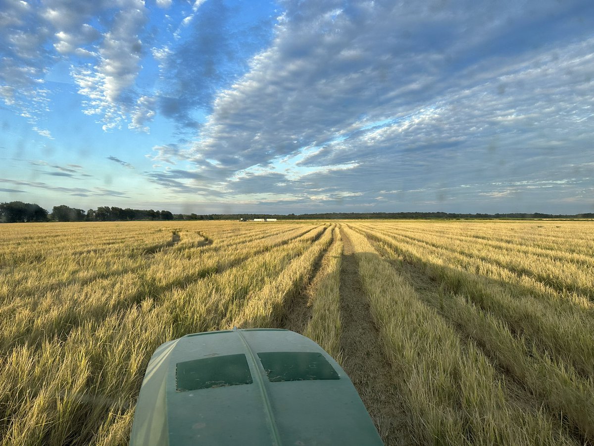 Mark Isbell (@mjisbell) on Twitter photo 