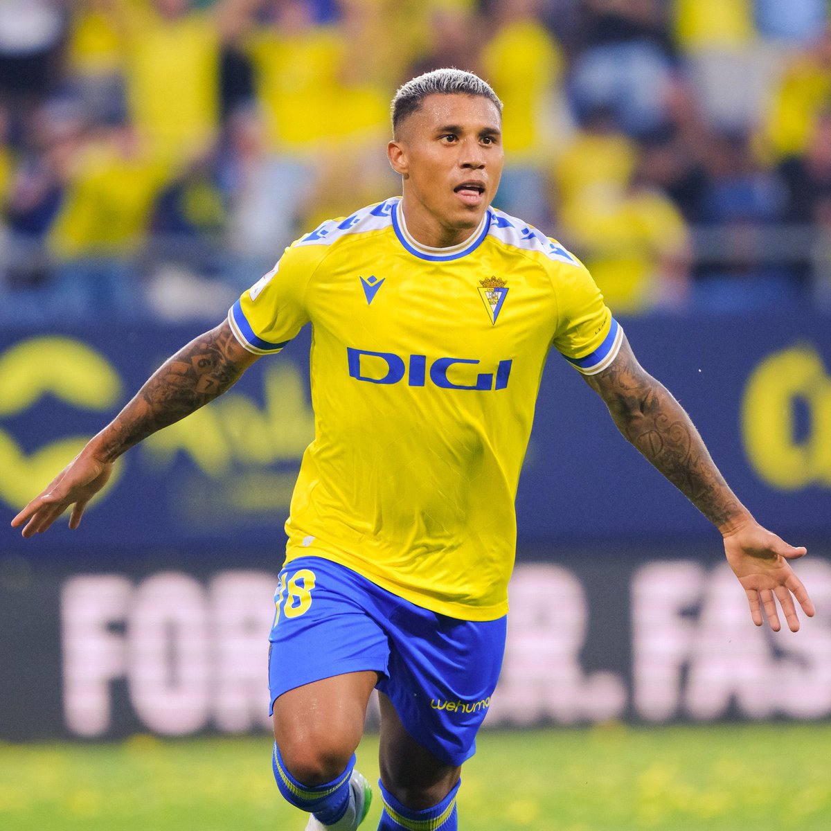 Darwin Machís está pidiendo TITULARIDAD a gritos en La Vinotinto!!! 

Doblete hoy en una de las mejores ligas del mundo... 

NO NOS SOBRAN JUGADORES ASÍ! 

🇻🇪🇻🇪🇻🇪🇻🇪🇻🇪🇻🇪🇻🇪🇻🇪🇻🇪