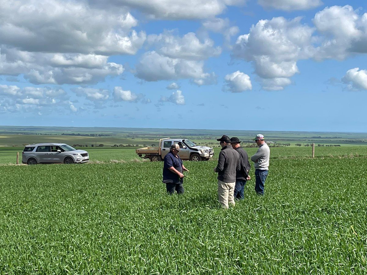 Stuart Ockerby tweet media