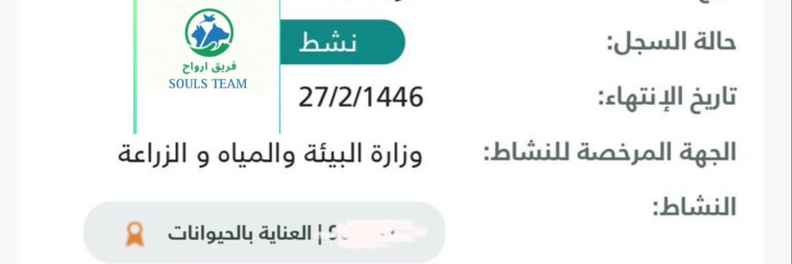 Luly’s safe 🐈. tweet media