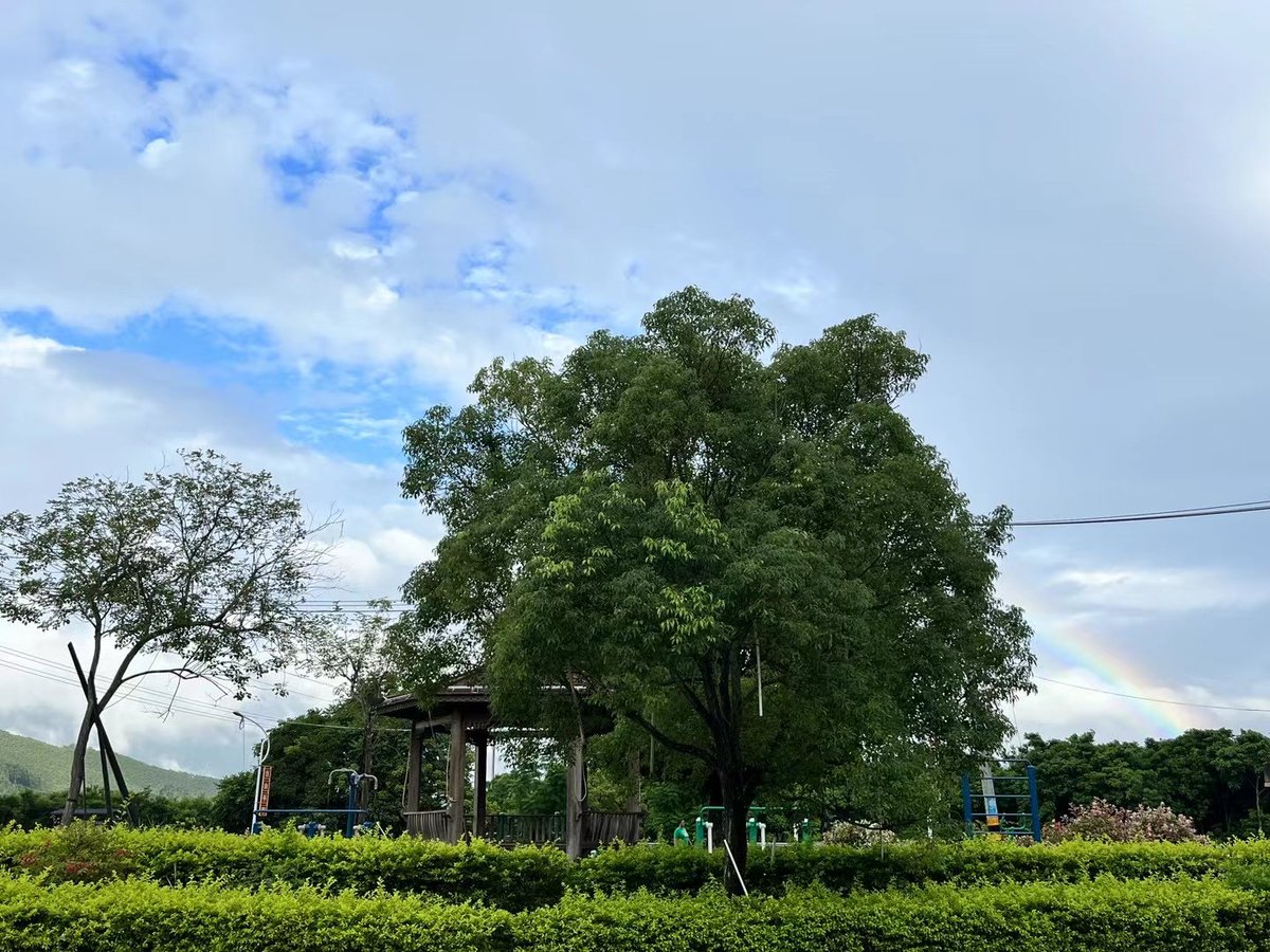 wqing0606's tweet photo. 遇见彩虹🌈 https://t.co/XZaUecqvms