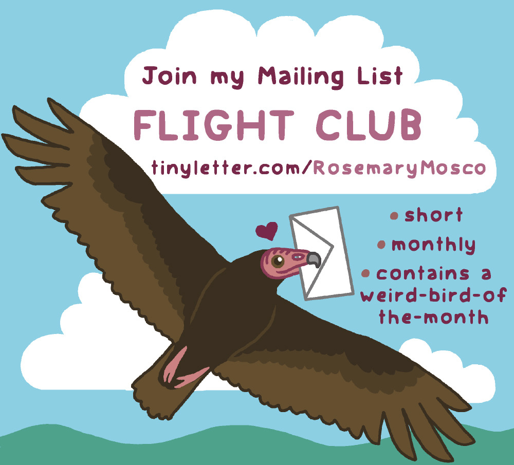 I'm not here much, but my newsletter goes out every month and you might like it. It's short, funny, and always contains a weird bird of the month tinyletter.com/rosemarymosco