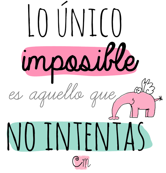 Alejandra Urbina (@auc_koda) on Twitter photo 