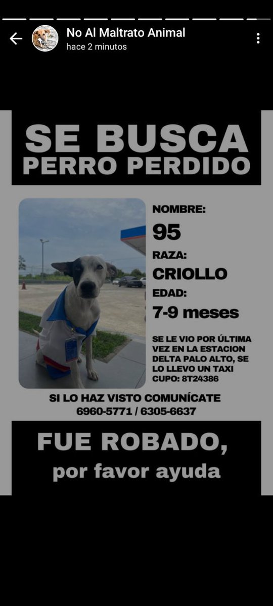 Nacelys González tweet media