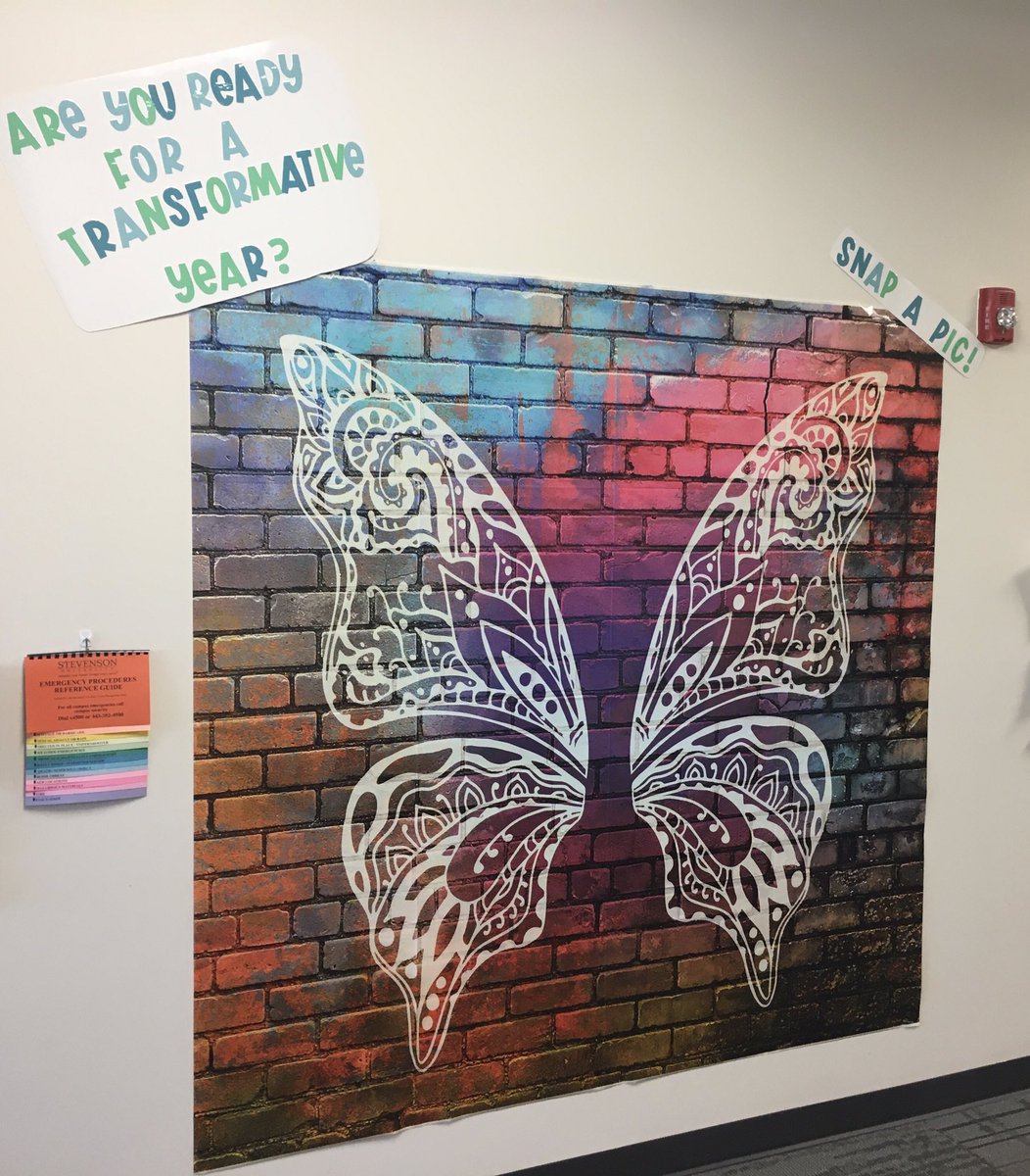 Stevenson University School of Education tweet media