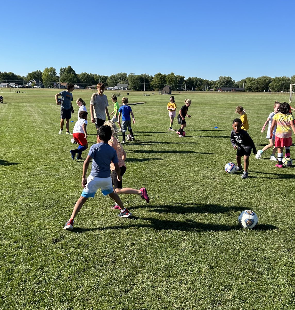 Liberty Lions tweet media