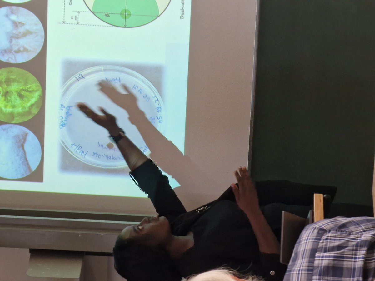 Blessing Durodola tweet media