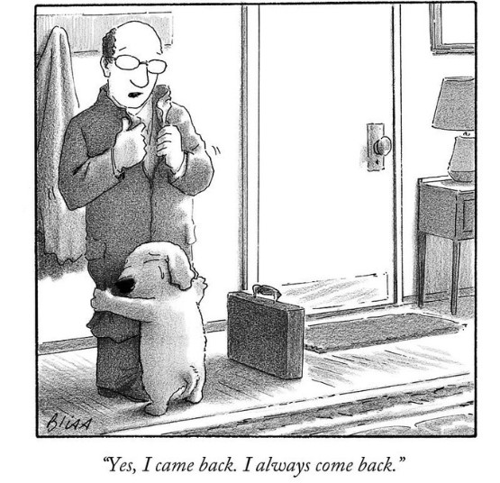 Chris P. Bacon tweet media
