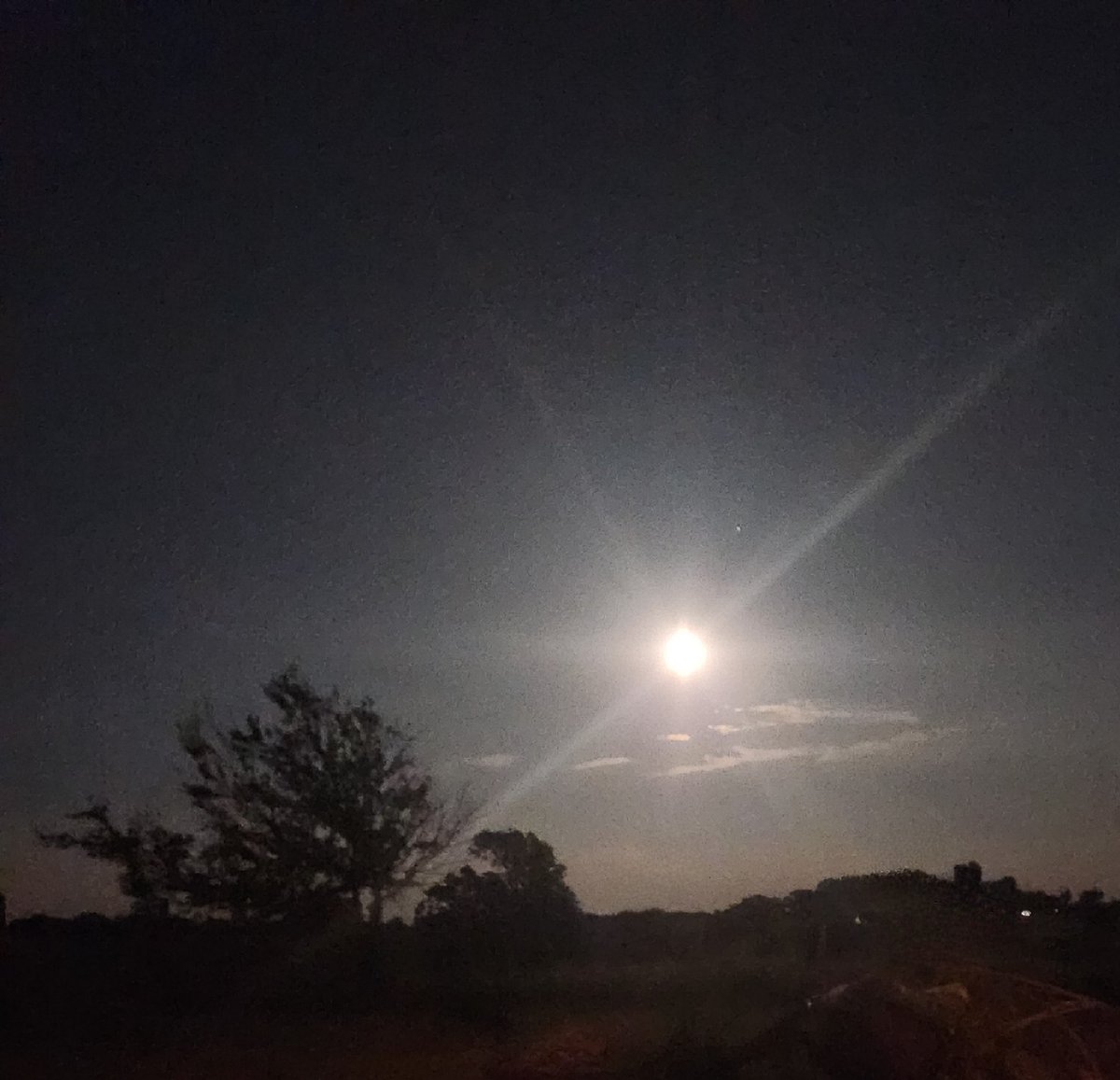 Cicero's Library tweet media