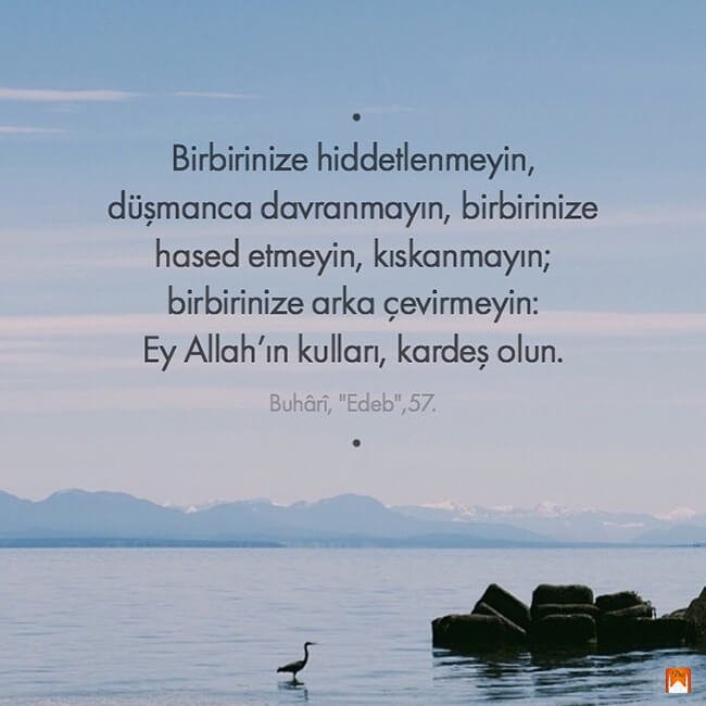 GezgicM's tweet photo. Ezan Vakti Pro https://t.co/Qy43mBVCxW https://t.co/0jxDGiqW91