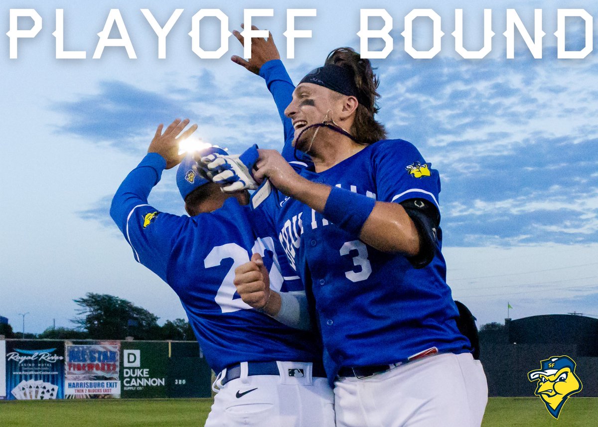 canaries's tweet photo. BIRDS WIN BIRDS WIN BIRDS WIN https://t.co/3Z2tjYzAtq