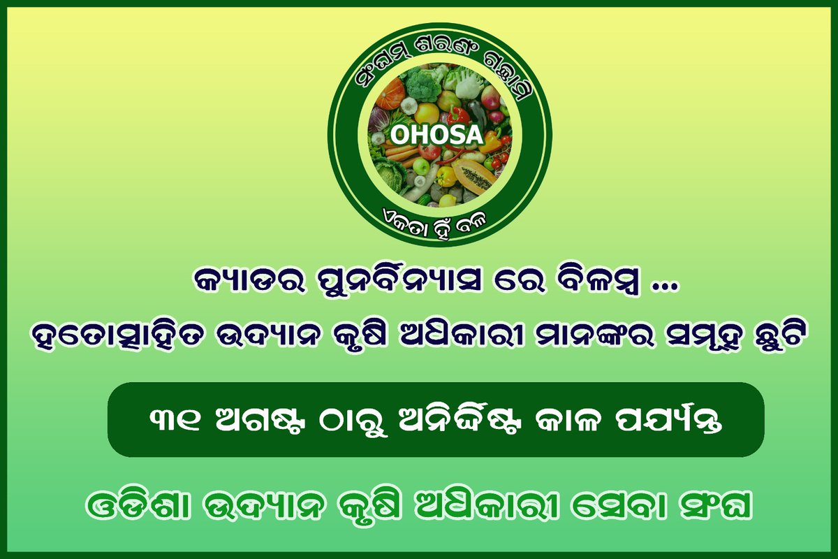 OHOSA2023's tweet photo. କ୍ୟାଡର ପୁନର୍ବିନ୍ୟାସ ପାଇଁ ଚାଲିଥିବା ଦୀର୍ଘ ଦିନ ଧରି ସଂଘର୍ଷ ଓ ଅପେକ୍ଷା ସତ୍ତ୍ୱେ ବିଭାଗୀୟ ଟାଳଟୁଳ ନୀତିକୁ ପ୍ରତିବାଦ କରି ଉଦ୍ୟାନ କୃଷି ଅଧିକାରୀ ସେବା ସଂଘ ତରଫରୁ ଉଦ୍ୟାନ କୃଷି ଅଧିକାରୀ ମାନଙ୍କର ସମୂହ ଛୁଟି @krushibibhag @rajaaswain @Horticultureod1 @arvindpadhee @PradeepJenaIAS @MoSarkar5T @CMO_Odisha https://t.co/ojvjMly1FH