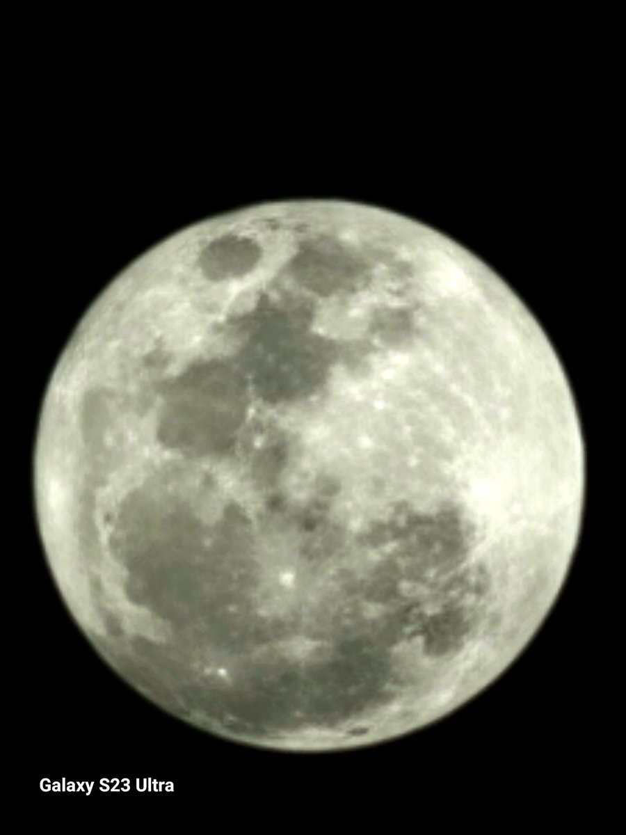 André Araújo tweet media