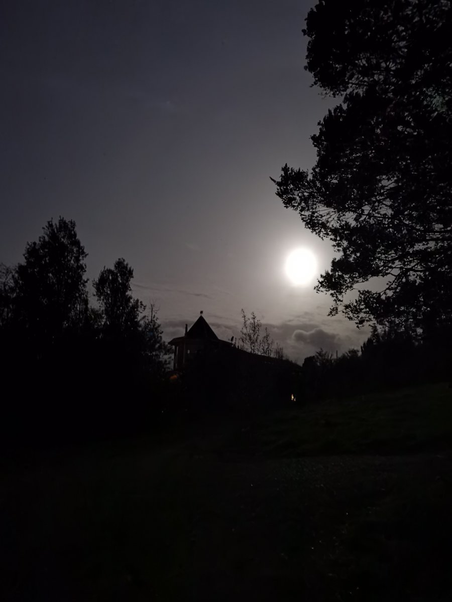 PoliRoaV's tweet photo. Luna. Cada cual la mira diferente #puertovaras https://t.co/J8BOO6UMlt