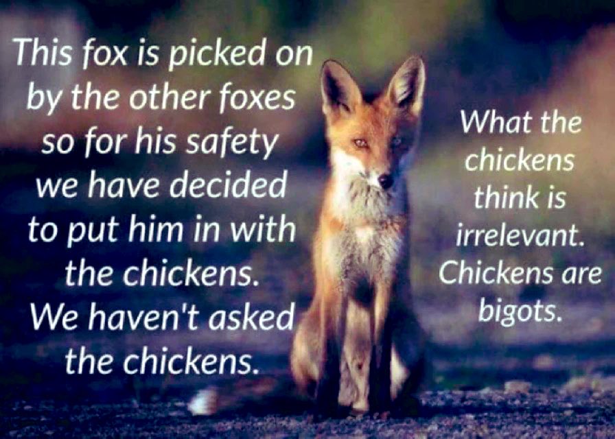 This fox is picked on by the other foxes so for his safety we have decided to put him in with the chickens. We haven’t asked the chickens. What the chickens think is irrelevant. Chickens are bigots. 

#KeepPrisonsSingleSex
#SexNotGender
#LetWomenSpeak 
#NoSelfID