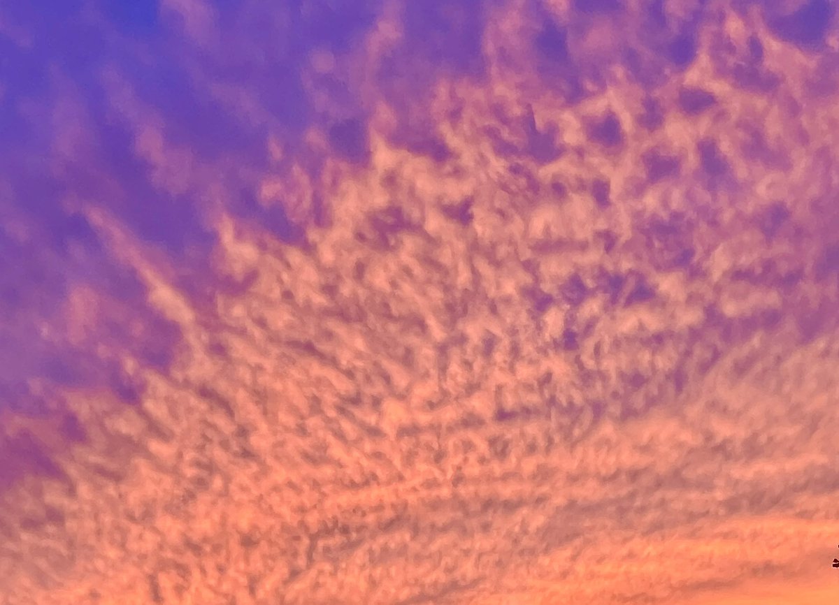 Beautiful sunset in McLean, Va tonight ☀️ <a href="/fox5dc/">FOX 5 DC</a> <a href="/fox5weather/">fox5weather</a>