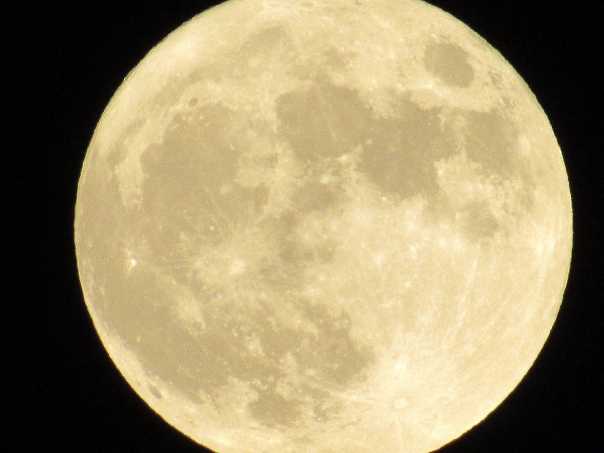 Very cool luminescent moon tonight.